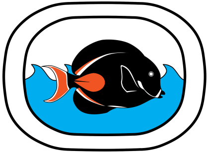 Ocean Avenue Texas :: Aquatic Specialists